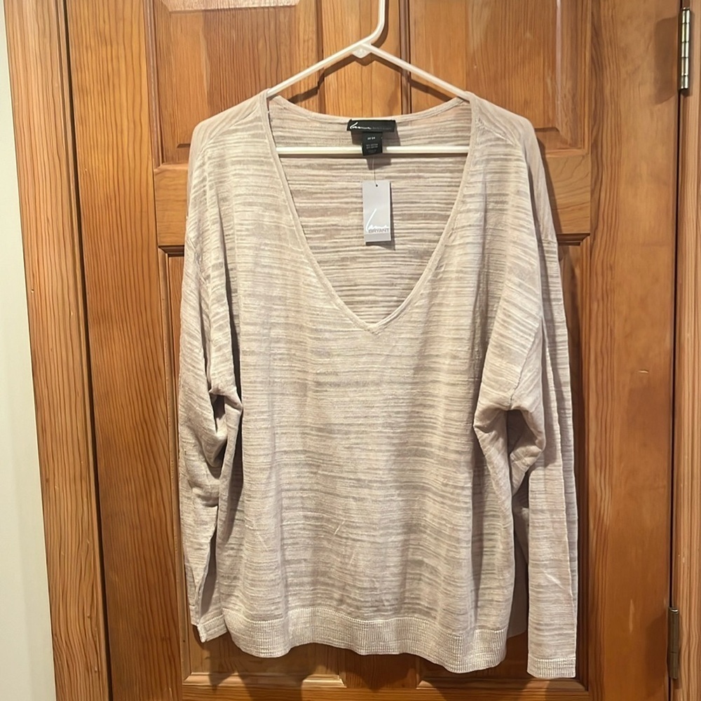 NWT Lane Bryant women’s sheer vneck long sleeve top size 22/24 .